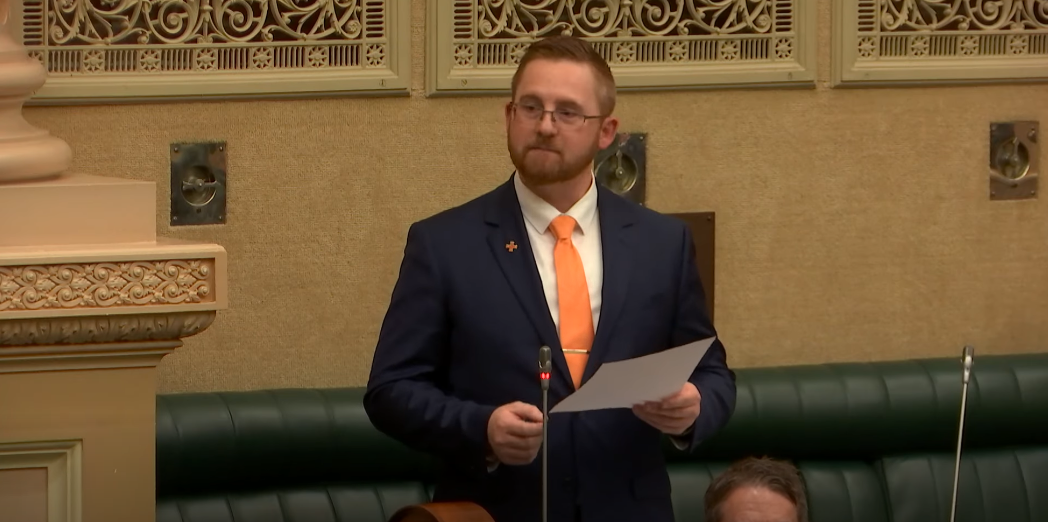 Mental health services questioned in Parliament