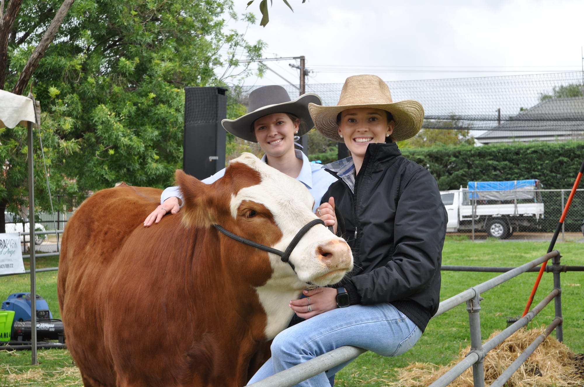 Full steam ahead for Strathalbyn Show