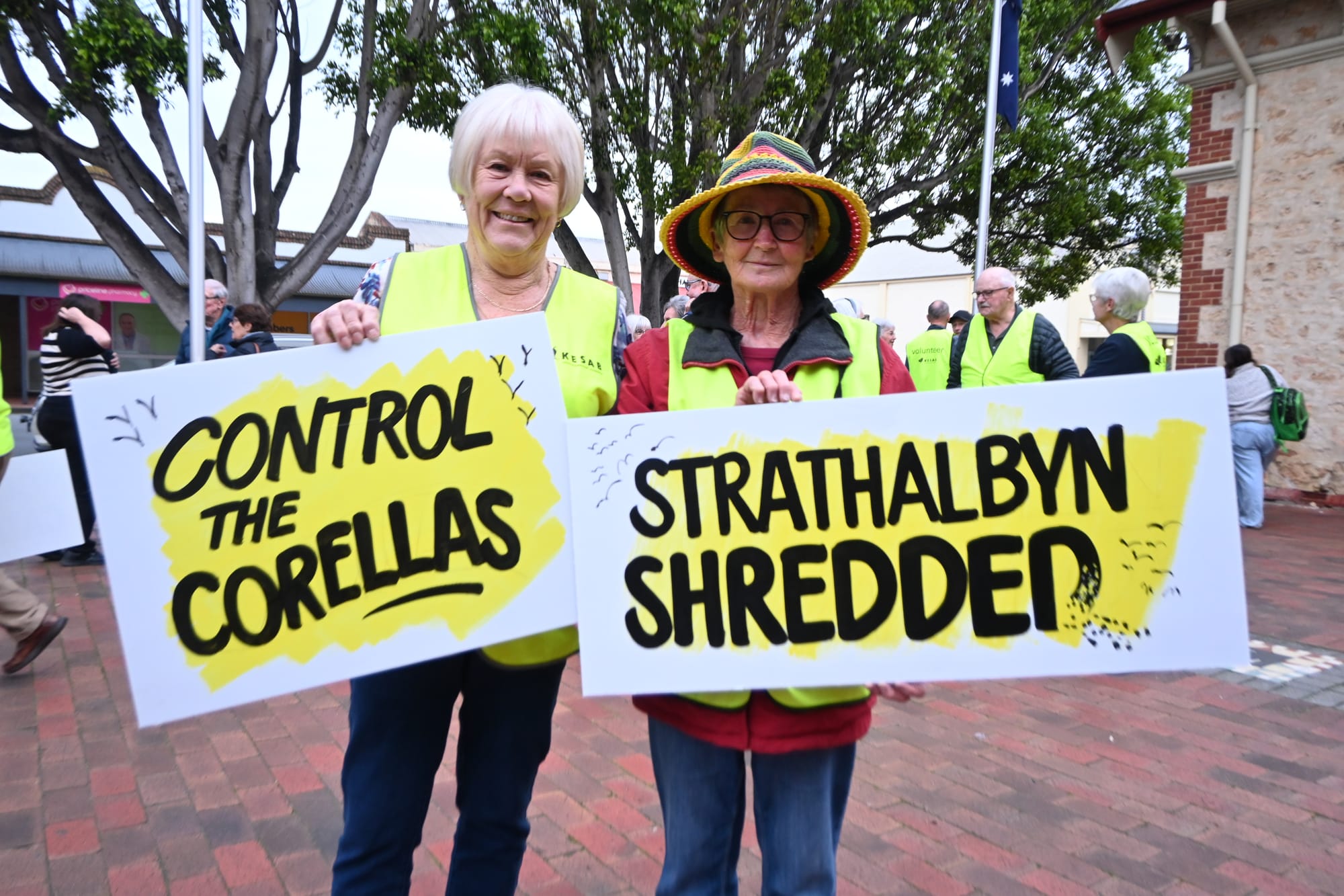Alexandrina moves to cull corella super flock