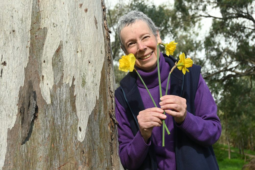 DAFFODIL APPEAL: Local leaves lasting legacy post image