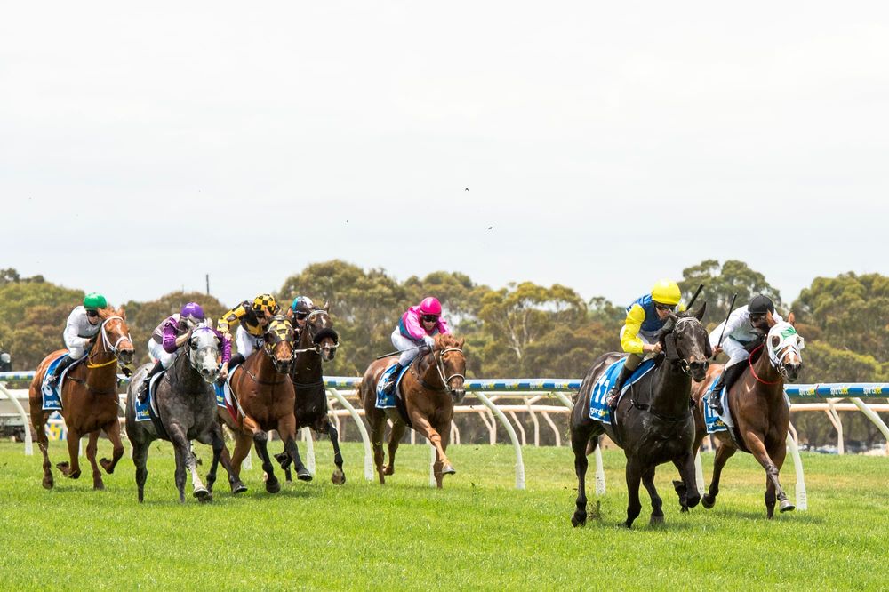 David Jolly wins solid silver Vignerons Cup post image