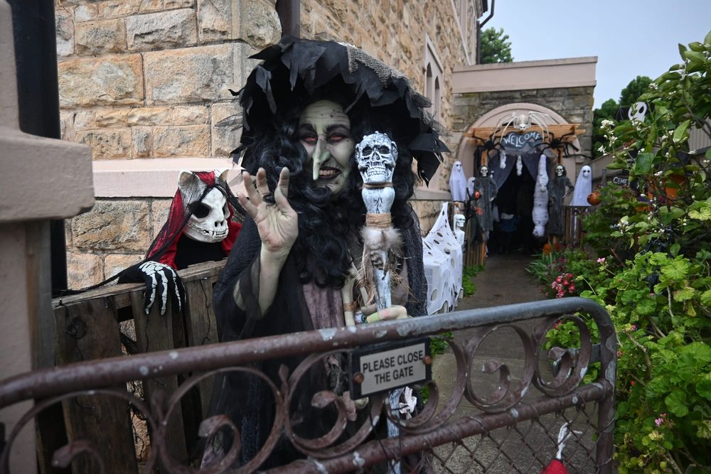Trick-or-treaters enjoy fang-tastic Halloween at Strathalbyn post image