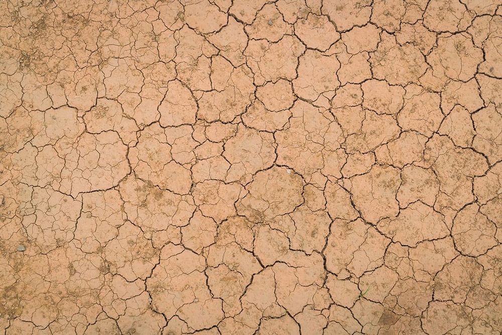 WATER WORRIES: Lengthy delays as Hills Fleurieu households are left struggling for water... post image