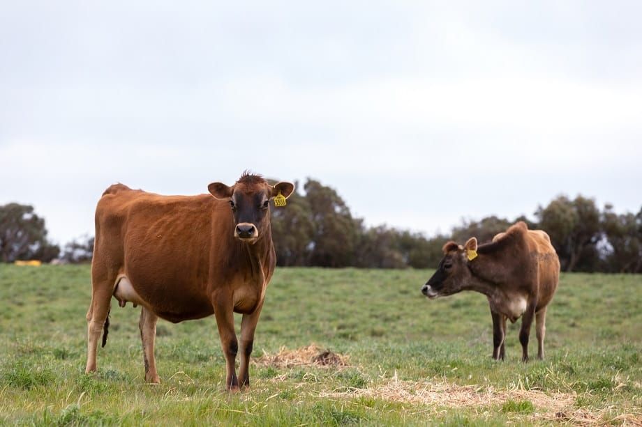 Paris Creek Farm sells post image