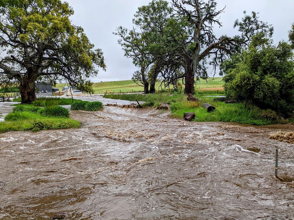 SWAMPED: Clean-up continues after severe storm post image