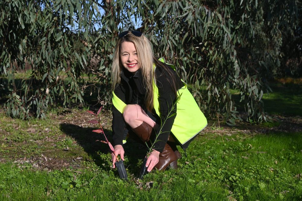 BARKING UP THE RIGHT TREE: Community called on for planting event post image