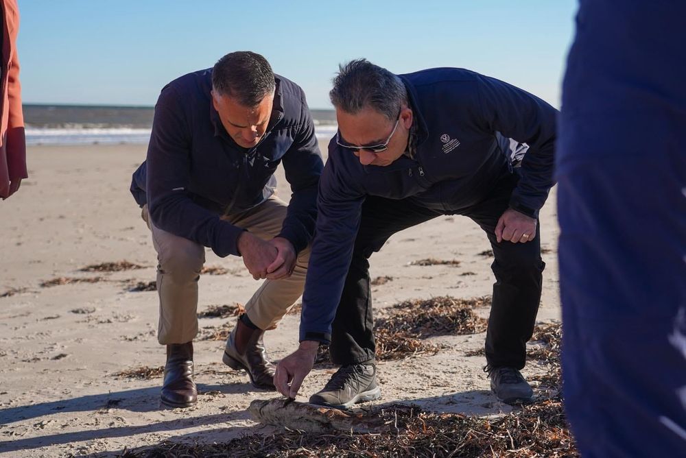 Funding for algal bloom at last post image