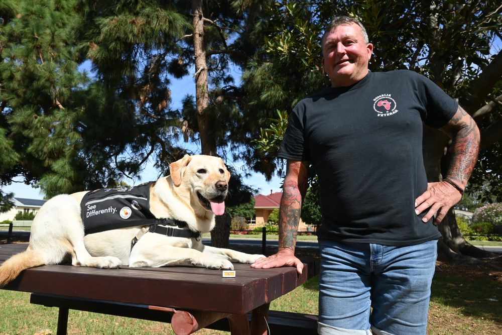 Regiment receives honour for Somalia service post image