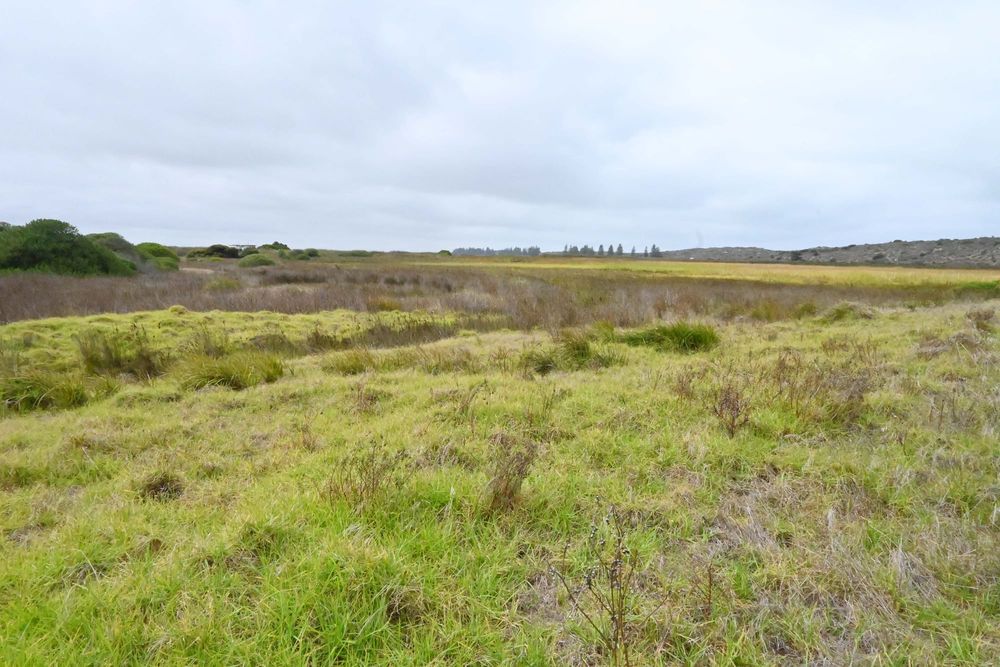 Goolwa Rowing Club petitions Alexandrina Council for growth assistance post image