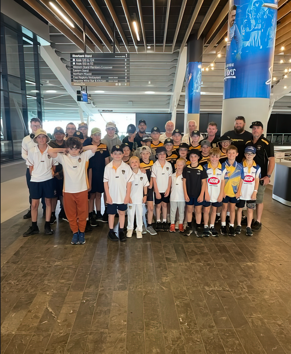 Tigers take a walk in idol’s footsteps post image