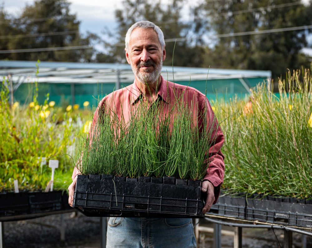 Tree Scheme makes dreams come true post image