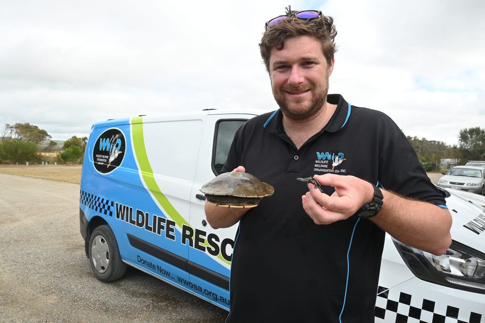 Driving up support for wildlife post image