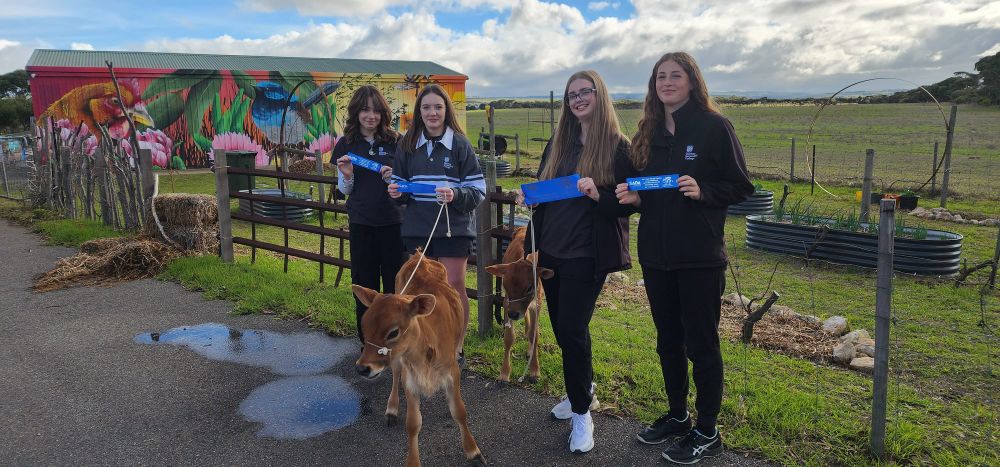 Goolwa Secondary College’s ag program moo-ving forward post image