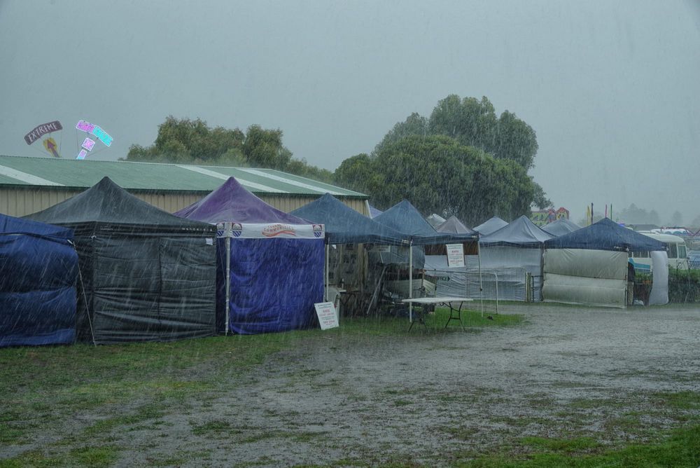 RAIN OR SHINE: Soggy show goes on to see near-record Sunday crowd post image