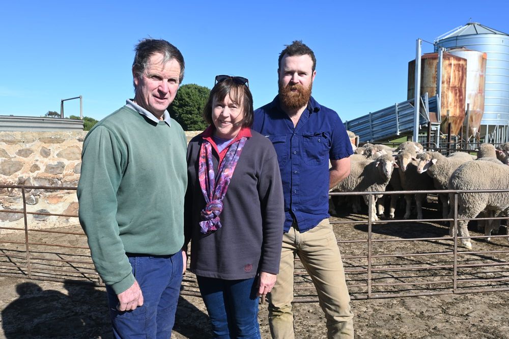 Popular Dalveen ram sale returns at Woodchester property post image