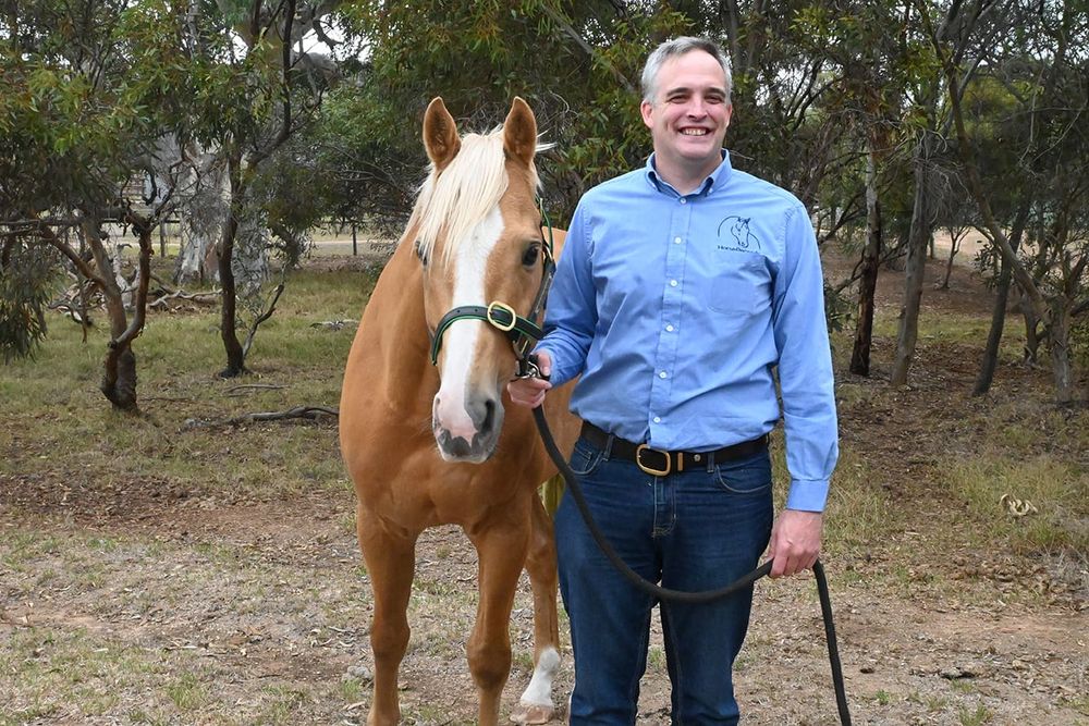 HorseRecords’ allowing data-collection for horse owners, seeing ex-racehorses’ win in retirement post image