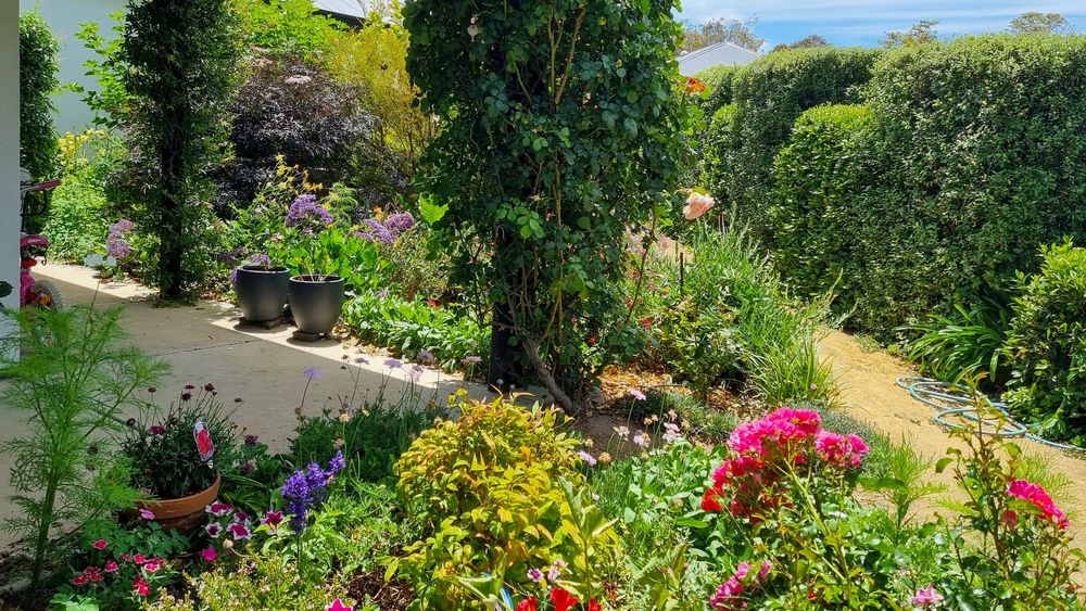 Strathalbyn open gardens ready to bloom this weekend post image