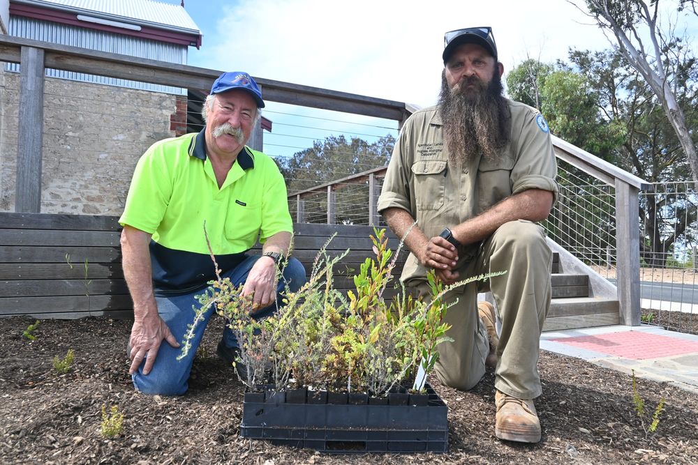 Planting day at Butter Factory post image