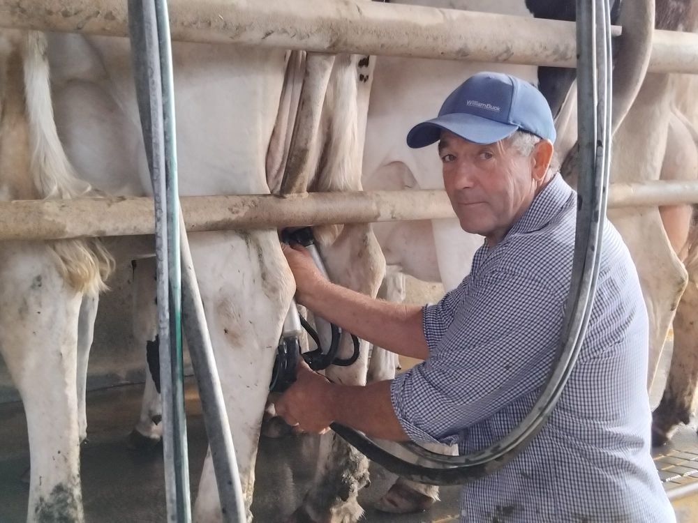 Beston Global Food Company collapse hits home post image