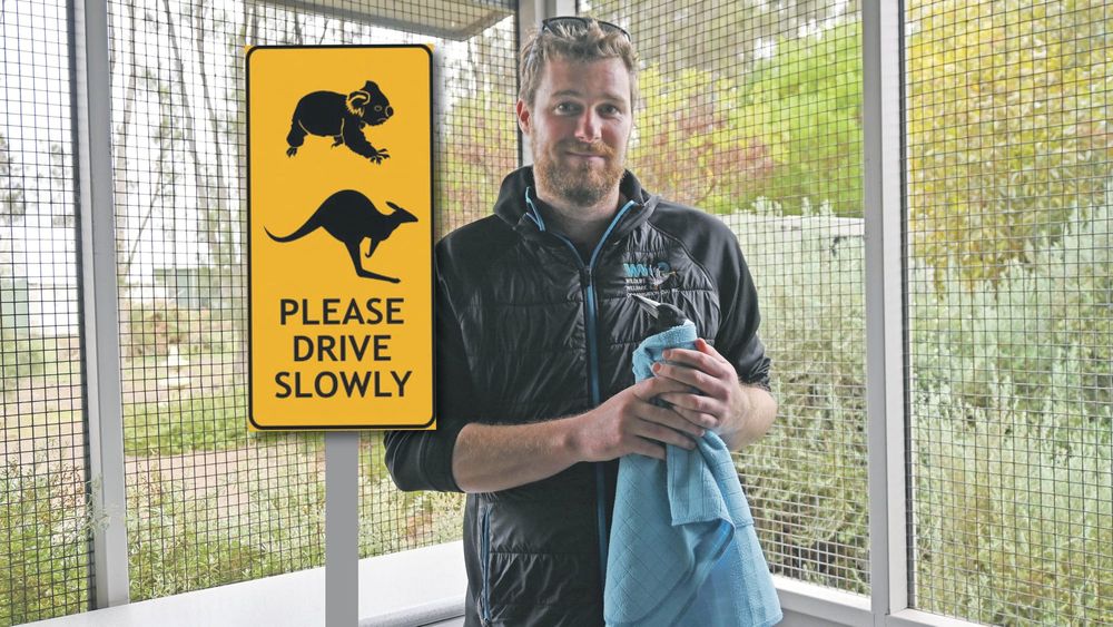 Goolwa wildlife’s centre winter plea to local motorists post image