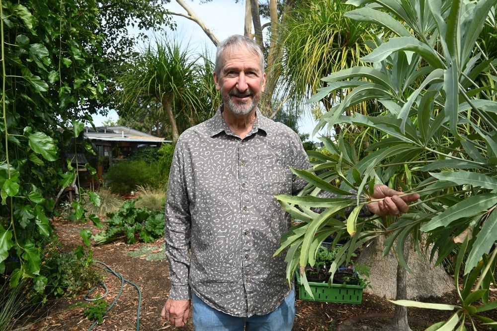 Sustainable garden connected to home post image