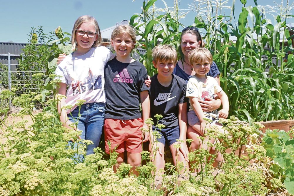 Your look into Strathalbyn's gardens post image