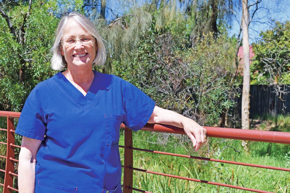 Annabel Digance unveils independent Legislative Council campaign… LOCAL VOICE post image