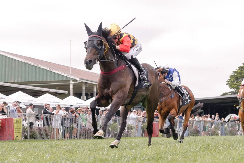 Beach Day racing at Strathalbyn post image