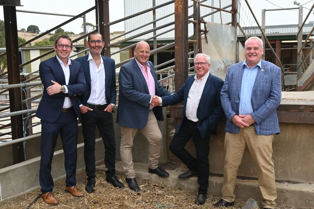 RAISING THE STEAKS: Fleurieu meat industry reinvigorated by abattoir’s re-opening post image