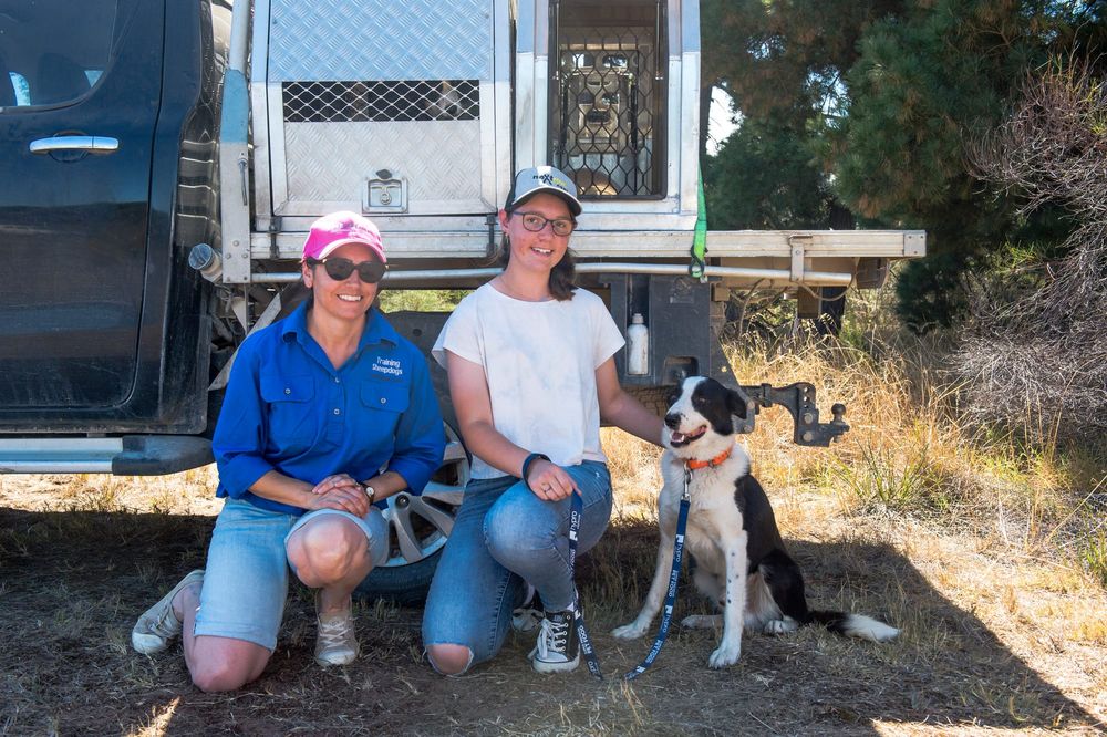 Cross and Bazza take the points at Strath trial post image