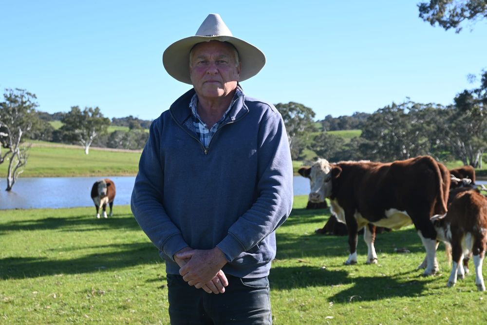 Price of cattle dramatically falls, impacting Fleurieu farmers post image