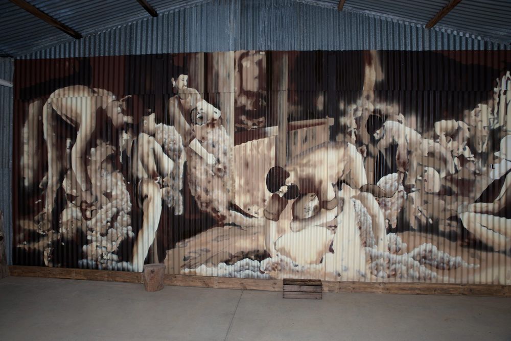 Unveiling a baa-eautiful mural at Milang post image