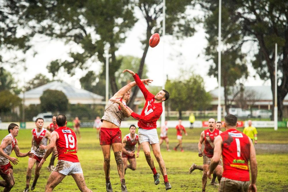 Roosters win a battle of the fittest against the Demons post image