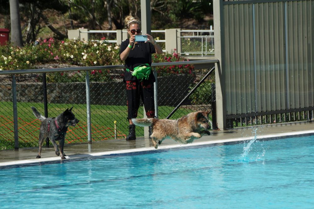 Strathalbyn pool pawty an absolute ball! post image
