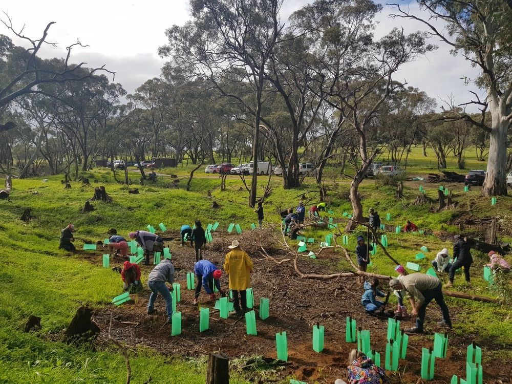 Grassroots grants open to eco-friendly projects across the Hills and Fleurieu post image