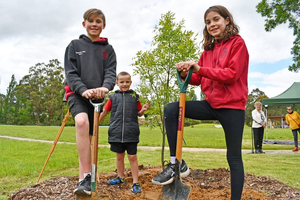 ROYAL TREE-TMENT: Macclesfield planting fit for a Queen post image