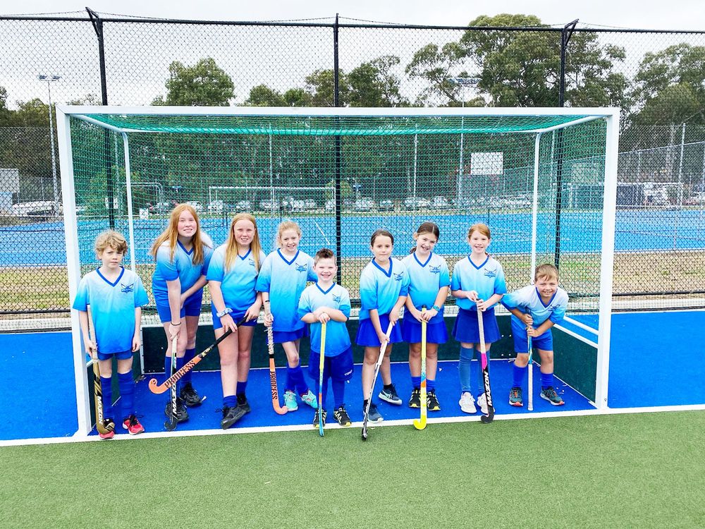 Hockey pitch for local children interested in having fun playing a safe sport post image