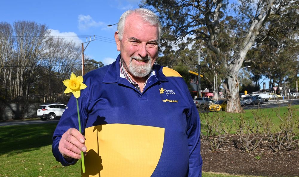 DAFFODIL DAY: A floral symbol of hope for all affected by cancer post image