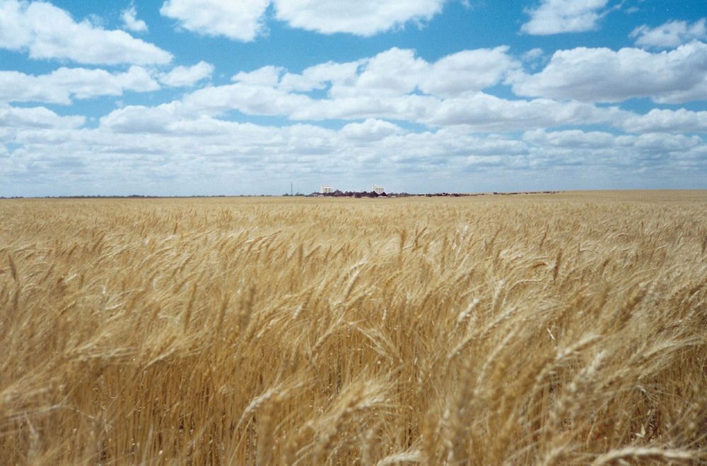 Grain Harvest Code of Practice remains unchanged post image