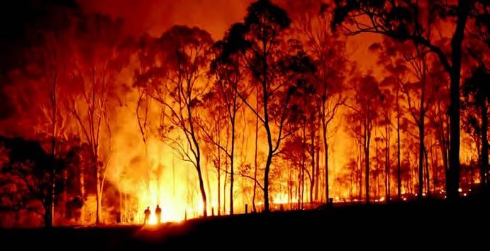 SA Labor proposes electronic monitoring of known firebugs post image