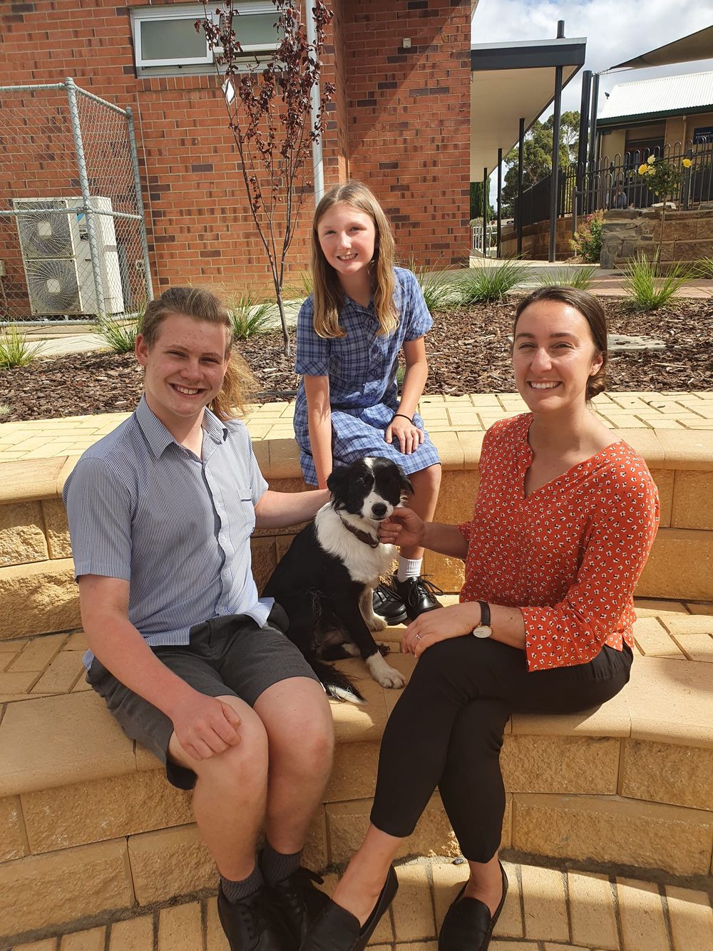 Tyndale therapy dog, Fly, supporting students in new paw-sitive role post image