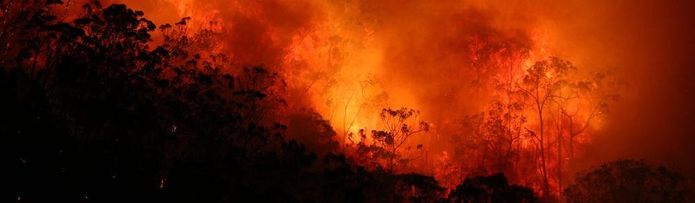 Alexandrina Council commits to bushfire safety and awareness post image