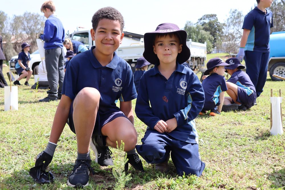 Tree-mendous effort by students post image