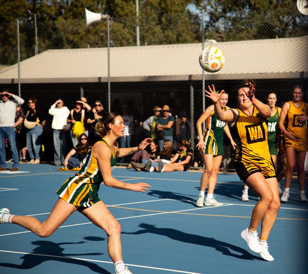 Terrific Tigers get the win post image