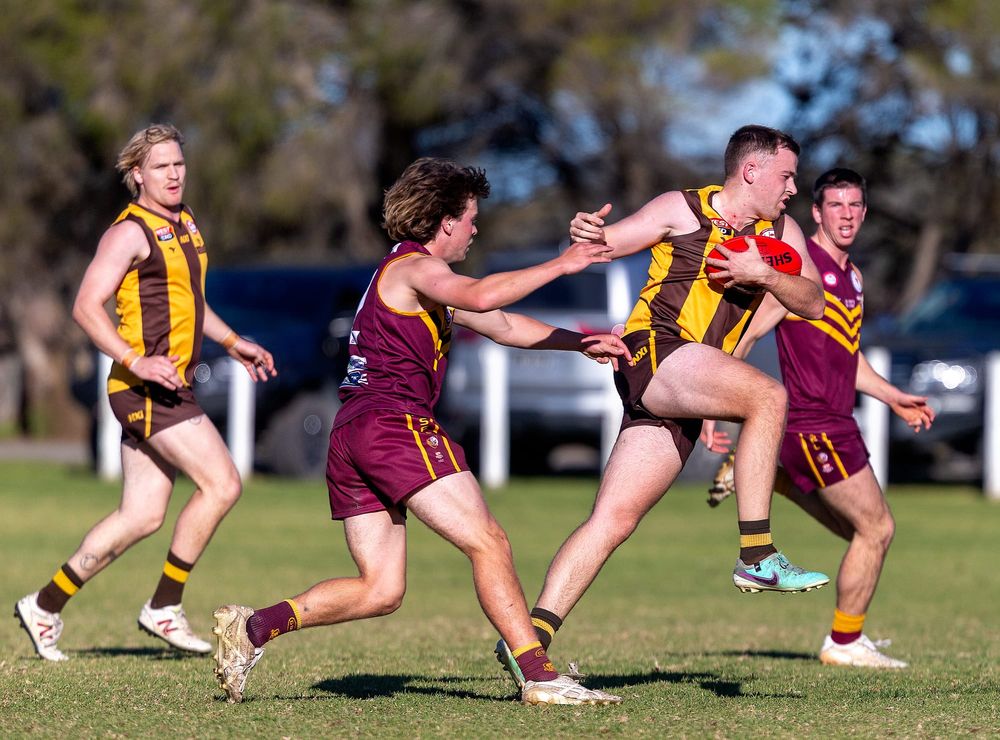 Hawks have a narrow win over the Bulldogs post image