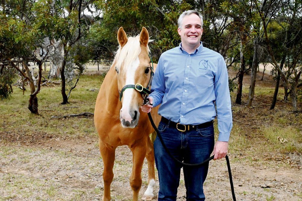 Local horse record-keeping initiative named award finalist post image