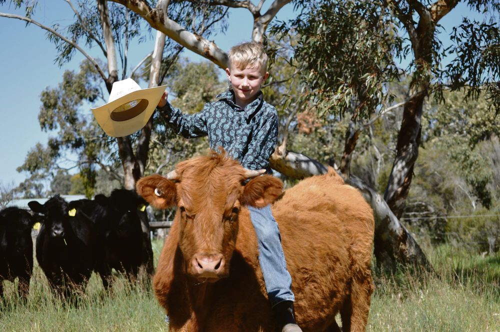 Young Finniss rider makes rodeo debut post image