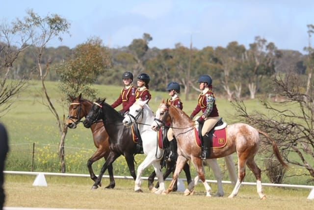 Local pony club riders saddle-up for success post image