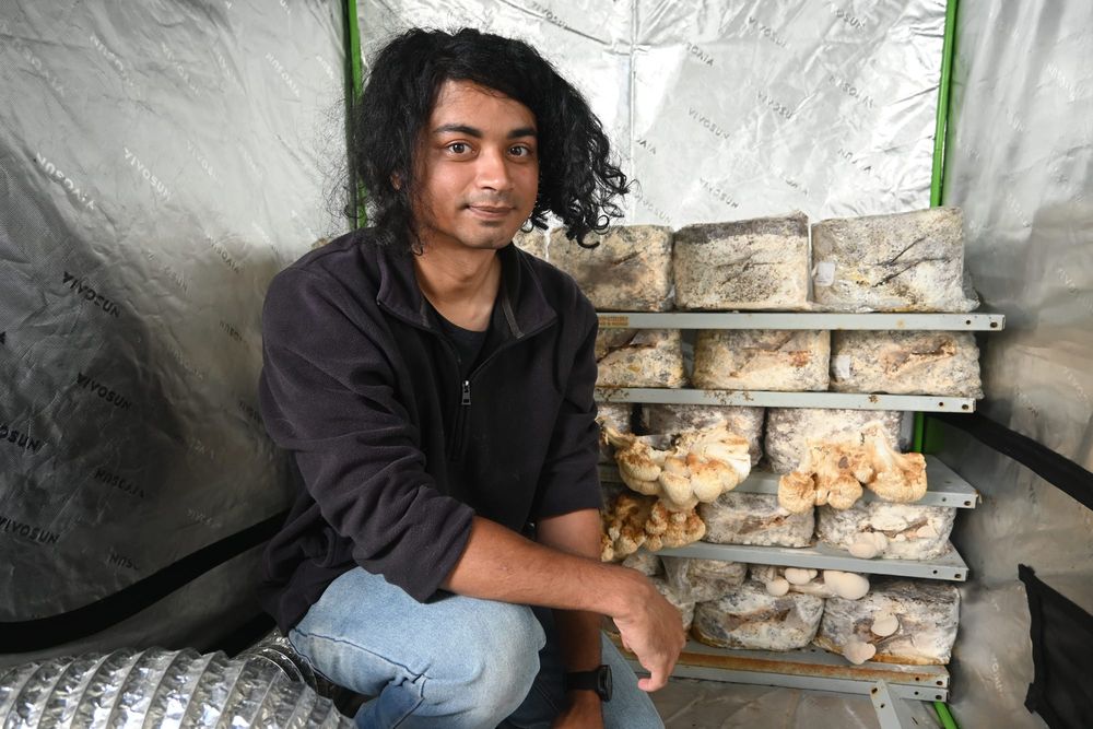 Goolwa grower leaves mush-room for growth post image