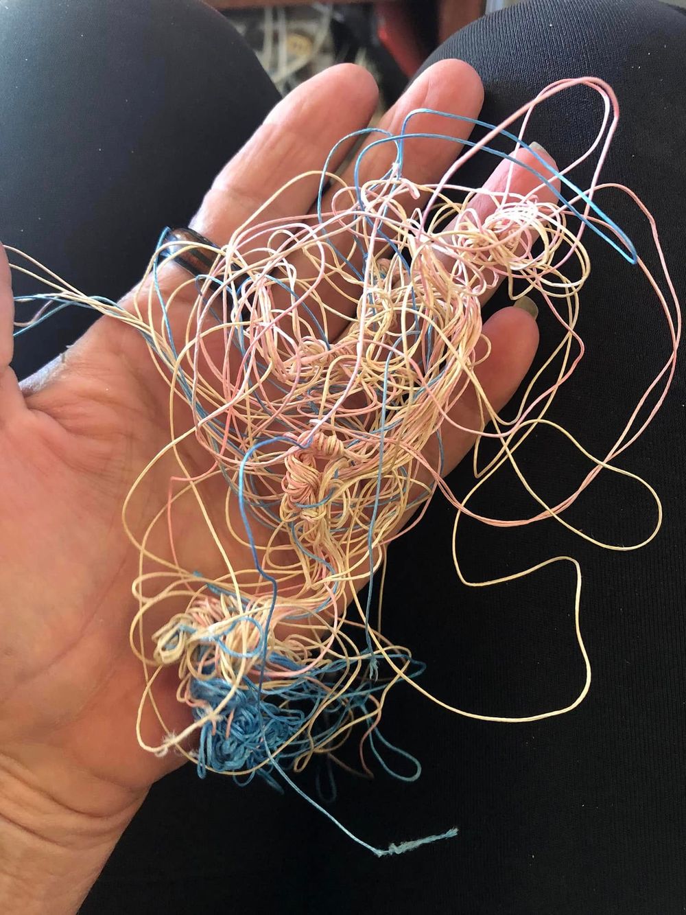 Fishing line entanglement rescues on the rise locally post image